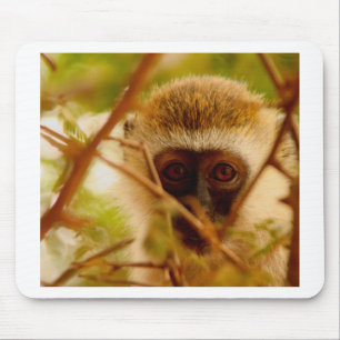 Cheeky Monkey. Muismat