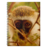 Cheeky Monkey. Notitieboek (Voorkant)