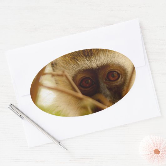 Cheeky Monkey. Ovale Sticker (Envelop)