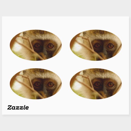 Cheeky Monkey. Ovale Sticker (Vel)