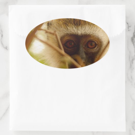 Cheeky Monkey. Ovale Sticker (Tas)