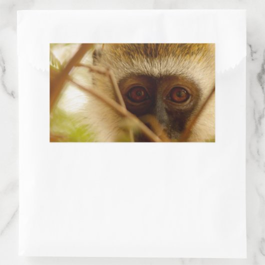 Cheeky Monkey. Rechthoekige Sticker (Tas)