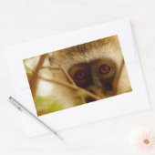 Cheeky Monkey. Rechthoekige Sticker (Envelop)