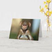 Cheeky Monkey - Schattigee Baby Baboon Kaart (Gele Bloem)