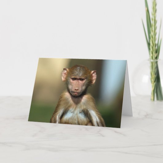 Cheeky Monkey - Schattigee Baby Baboon Kaart (Voorkant)