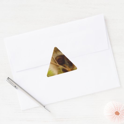 Cheeky Monkey. Sticker (Envelop)