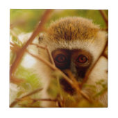 Cheeky Monkey. Tegeltje (Voorkant)