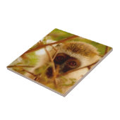 Cheeky Monkey. Tegeltje (Zijkant)