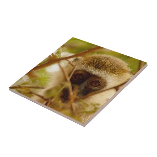 Cheeky Monkey. Tegeltje (Zijkant)