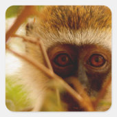 Cheeky Monkey. Vierkante Sticker (Voorkant)