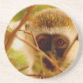 Cheeky Monkey. Zandsteen Onderzetter (Voorkant)