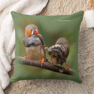 Cheeky Paar of Zebra Finches Songbird Kussen