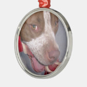 Cheeky Pitbull Metalen Ornament (Links)