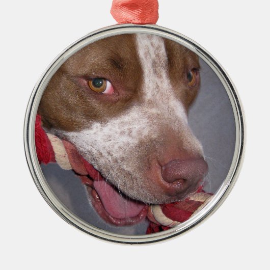 Cheeky Pitbull Metalen Ornament (Voorkant)