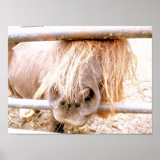 Cheeky Pony Poster (Voorkant)