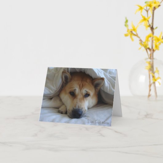 Cheeky schattig akita in bed originele hond foto b kaart (Gele Bloem)