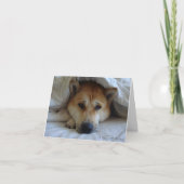 Cheeky schattig akita in bed originele hond foto b kaart (Voorkant)