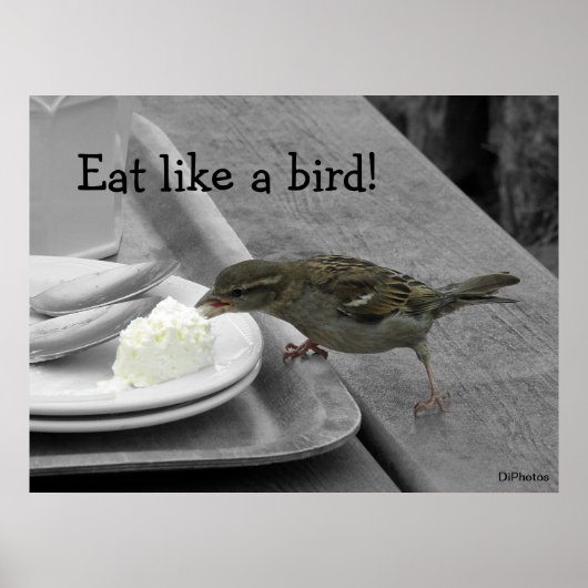 Cheeky Sparrow Poster (Voorkant)