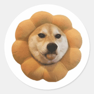 CHEEMS meme del perro shiba Ronde Sticker