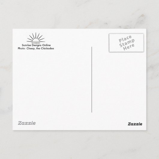 Cheep, het Briefkaart van de cichorei (Achterkant)