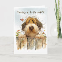 Cheer Up Gemengde Ras Hond Kijkend over het hek