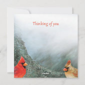 Cheerful Cardinals-Holiday Greeting Feestdagenkaart (Achterkant)