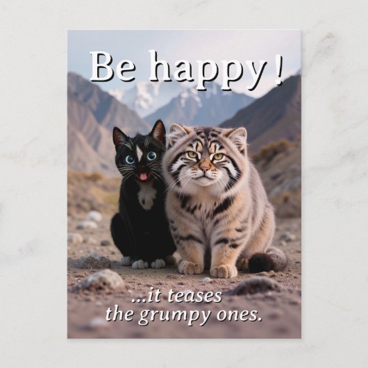 Cheerful Cat vs. Grumpy Cat – Humor Briefkaart (Voorkant)
