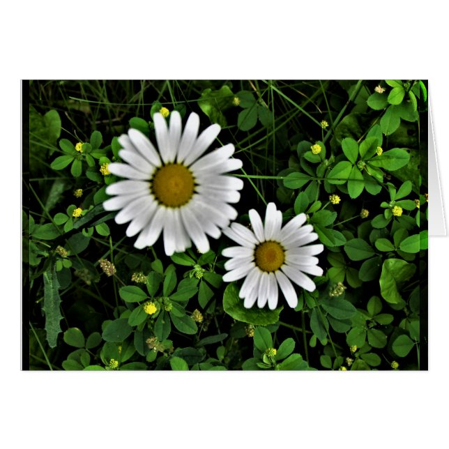 Cheerful Moeder and Child Daisies (Voorkant Horizontaal)