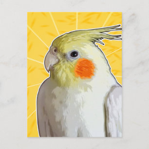 Cheerful Pet Cockatiel Bird Lemon Yellow Sunshine Briefkaart