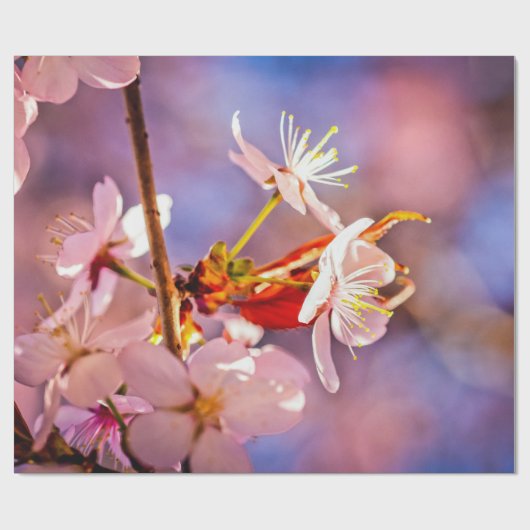 Cheerful Sakura Flowers Cadeaupapier (Vlak)