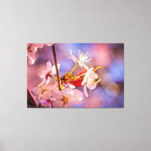 Cheerful Sakura Flowers Canvas Afdruk
