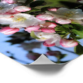 Cheerful Spring Crabapple Flower Blossom Abstract Poster (Hoek)