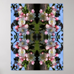 Cheerful Spring Crabapple Flower Blossom Abstract Poster