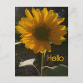 Cheerful Sunflower Briefkaart (Voorkant)