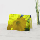 Cheerful Yellow Daffodil Narcissus Spring Flowers Kaart (Voorkant)