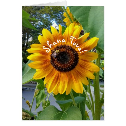 Cheerful Yellow Sunflower Rosh Hashanah Kaart (Voorkant)