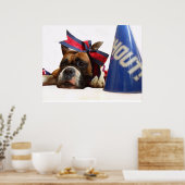 Cheerleader boxer poster (Keuken)