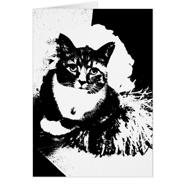 Cheerleader Cat I heeft poompokken! (Voorkant)