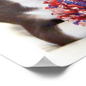 Cheerleader Chihuahua dog Poster (Hoek)