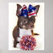 Cheerleader Chihuahua dog Poster (Voorkant)