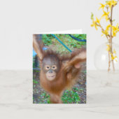 Cheerleader : Team Orangutan Kaart (Gele Bloem)