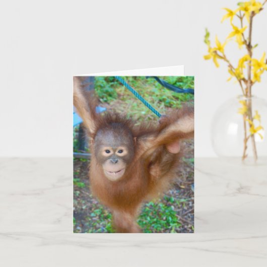 Cheerleader : Team Orangutan Kaart (Gele Bloem)