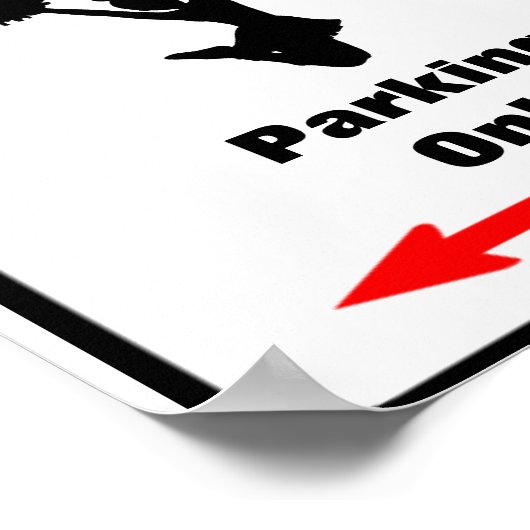 CHEERLEADER Zone Parkeerteken Poster (Hoek)