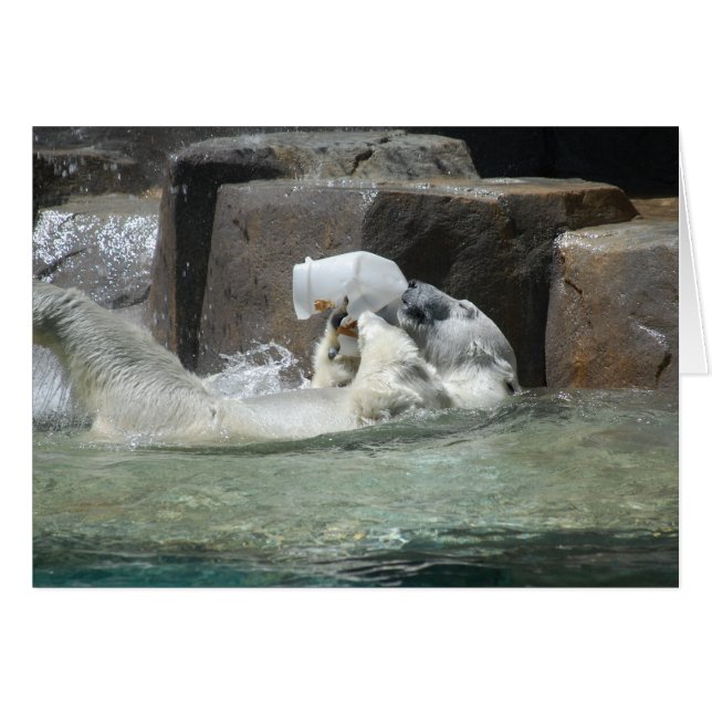 Cheers! (Voorkant Horizontaal)