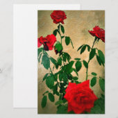 Cheers, Rozen van Love_ Briefpapier (Voorkant / Achterkant)