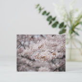 Cheery Blossom Briefkaart (Staand voorkant)