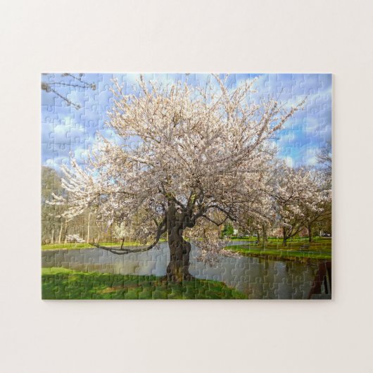 Cheery Blossom New Jersey. Legpuzzel (Horizontaal)