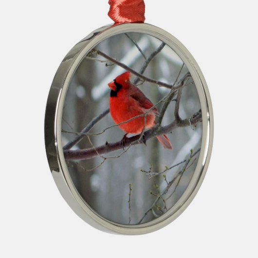 Cheery Cardinaal Premium Ornament (Rechts)