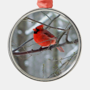 Cheery Cardinaal Premium Ornament