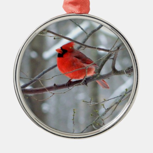 Cheery Cardinaal Premium Ornament (Voorkant)